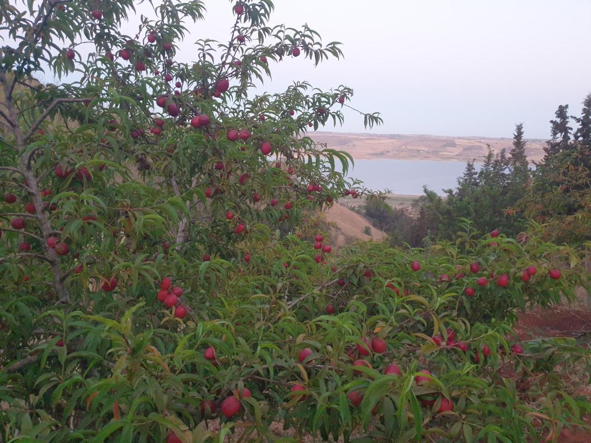 Ferme Bouhouch Apartment Oulad Yakoub Bagian luar foto